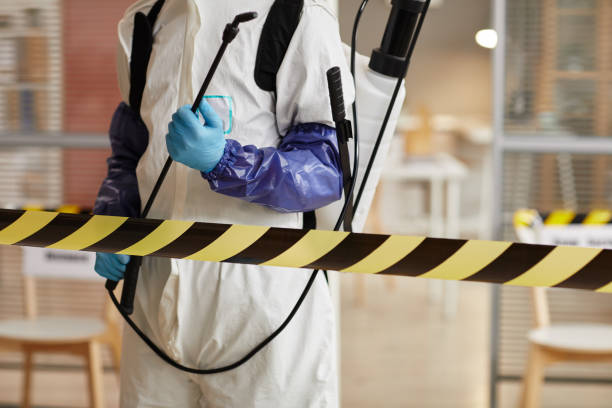 Professional Sewage Cleanup technician working in Villas, NJ